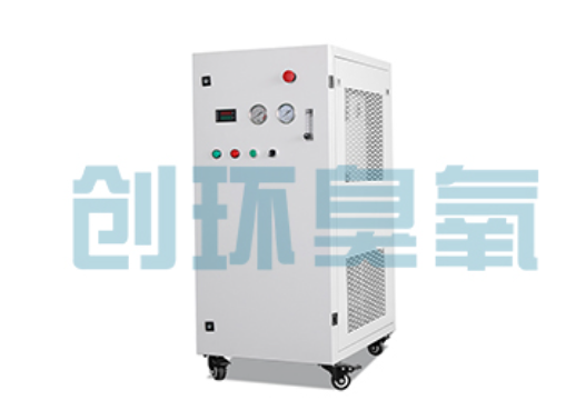 大庆石斑鱼养殖水质调控完整指南：臭氧发生器配置与操作步骤